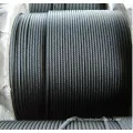 Steel Wire Rope 8X19s FC with High Quality